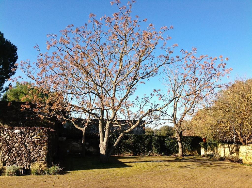 Tenuta Sant'Andrea Giuggianello Ngoại thất bức ảnh