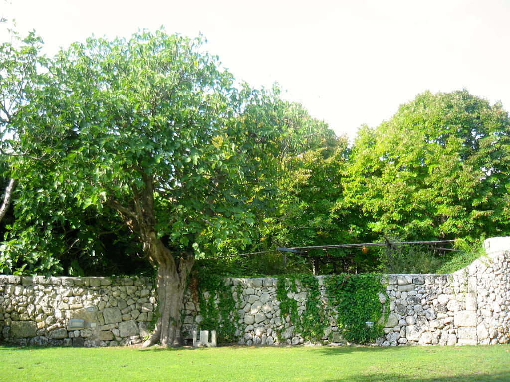 Tenuta Sant'Andrea Giuggianello Ngoại thất bức ảnh