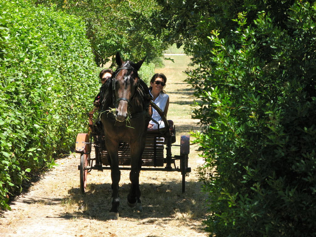 Tenuta Sant'Andrea Giuggianello Ngoại thất bức ảnh